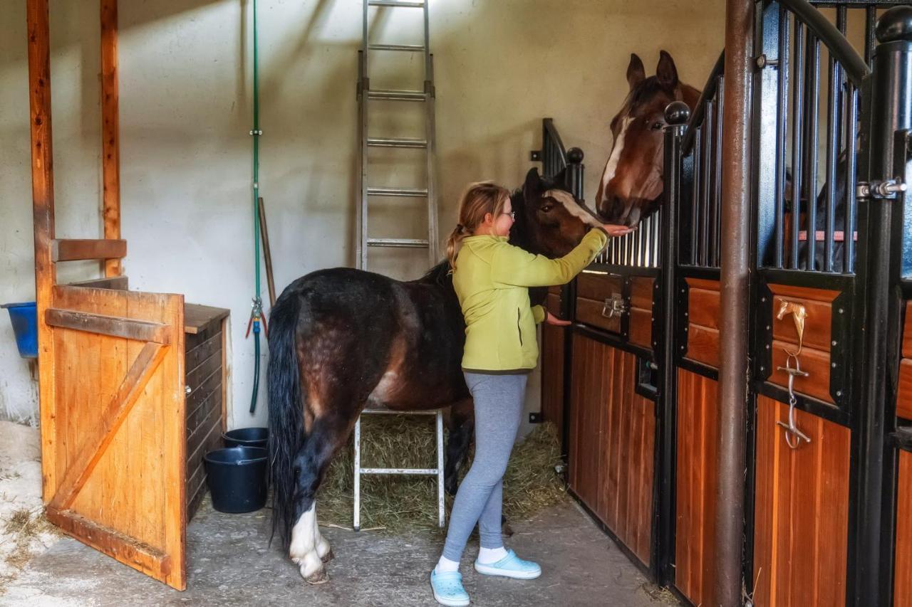 Apartamenty "Goralskie Katy" Agroturystyka Szaflary Esterno foto